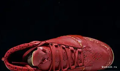 Jordan Chicago 23 0520